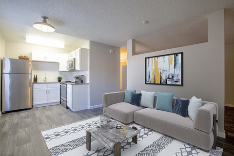 a living room and kitchen with a couch and a coffee table